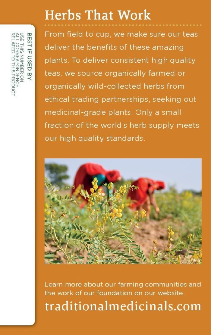 traditional medicinals organic ginger aid tea pack