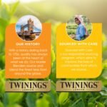 twinings spiced apple chai tea pack