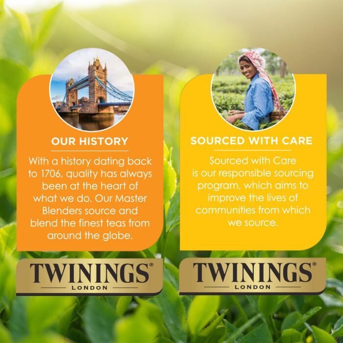 twinings spiced apple chai tea pack