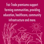 wholesome sweeteners brown sugar pouches pack