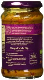 pataks medium mango relish