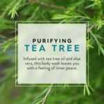 jason tea tree purifying body wash