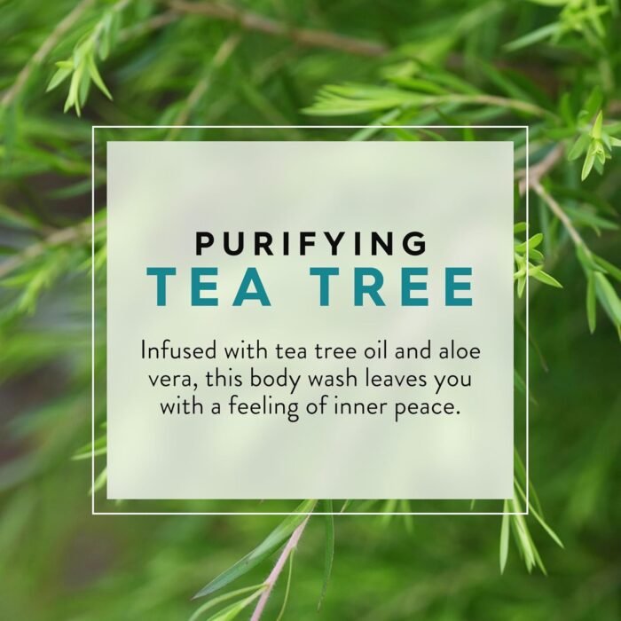 jason tea tree purifying body wash
