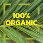 canned organic jackruit