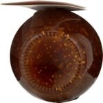 dalmatia spread fig orange