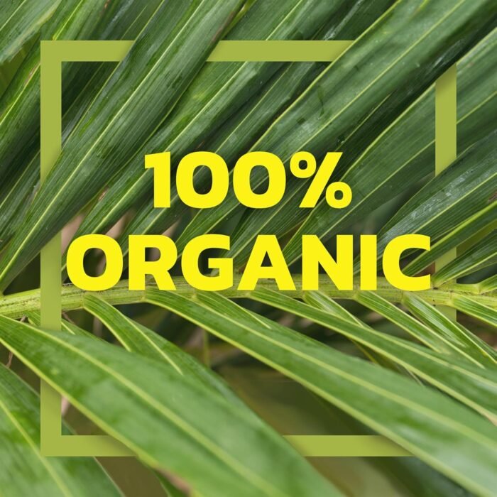 native forest canned pineapple chunk