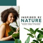 jason tea tree purifying body wash