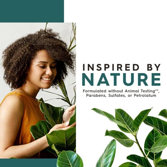 jason tea tree purifying body wash