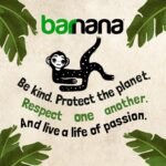 barnana peanut butter dipped banana bites pack