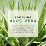 jason aloe vera soothing body wash