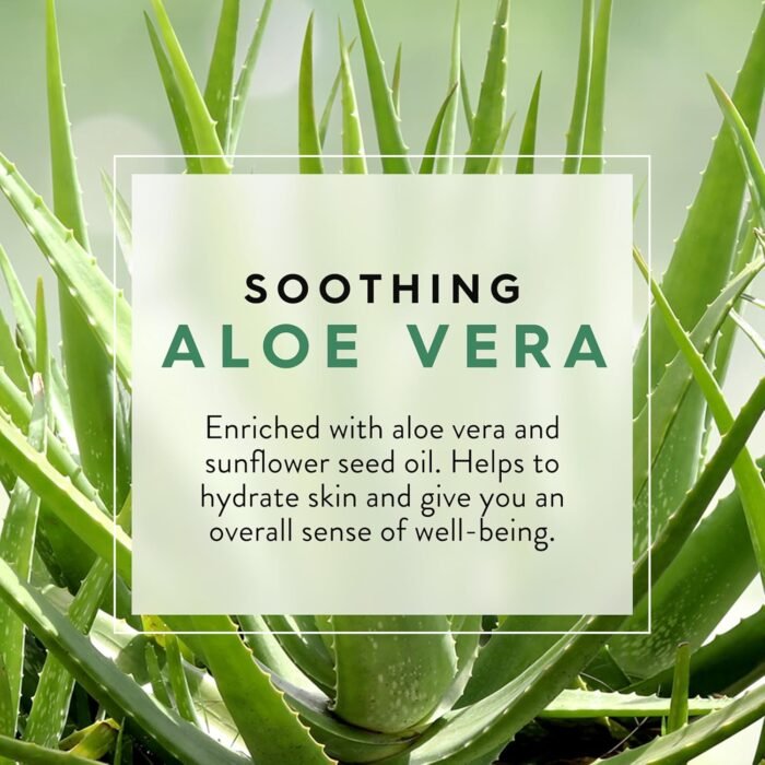 jason aloe vera soothing body wash