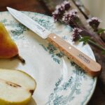 opinel no 112 paring knives 2 piece set