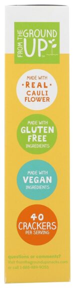 from the ground up cauliflower crackers sea salt