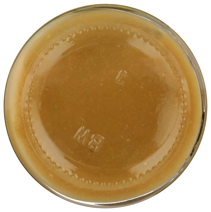 new york shuk preserved lemon paste