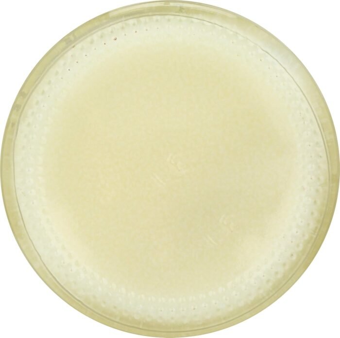 tea tree therapy eucalyptus soap