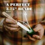 opinel no 112 paring knives 2 piece set