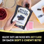 wiley wallaby gourmet licorice candy twists pack