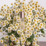 desert essence blemish touch stick