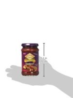 pataks tandoori paste mild