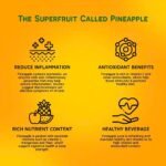 vinut 100% pure pineapple juice