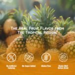 vinut 100% pure pineapple juice