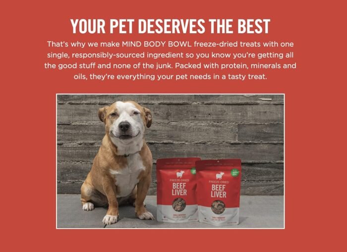 healthy spot beef liver dog & cat treats pack