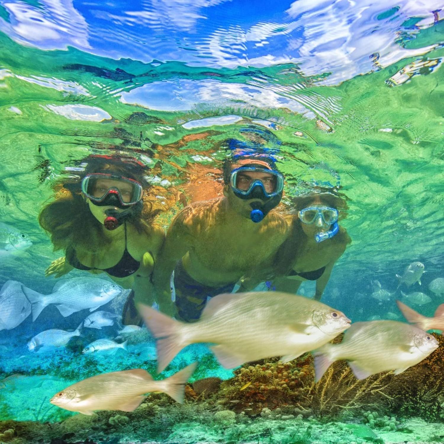 91twOzD62lL._AC_SL1500_ tusa sport visio tri ex mask & snorkel combo yellow