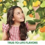 jelly belly 49 assorted jelly bean flavors pack