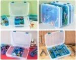 sterilite divided case multicolor