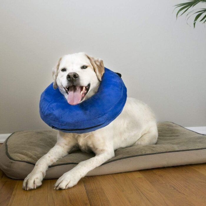kong cloud collar plush inflatable blue medium