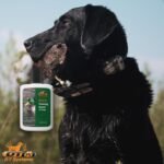 dt systems duck training scents for dog 1.25 oz