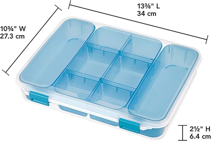sterilite divided case multicolor