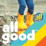 all liquid laundry detergent 4 in 1 with stainlifters 40 fi oz