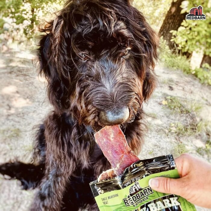 redbarn pet product barky bark beef jerky for dogs 1 oz pack