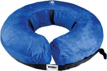 kong cloud collar plush inflatable blue medium