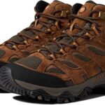 Merrell Men's Moab 3 Waterproof Hiking Boot, Earth, 9