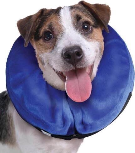 kong cloud collar plush inflatable blue medium