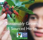 Bravo Tea Turkey Tail Mushroom Herbal Tea, 1.06 Oz 20 Ct - Image 6