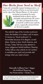 Bravo Tea Turkey Tail Mushroom Herbal Tea, 1.06 Oz 20 Ct - Image 3