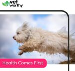 Vet Worthy Kennel Cough Drops, 0.5 Oz - Image 4