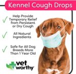 Vet Worthy Kennel Cough Drops, 0.5 Oz - Image 2