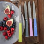 OPINEL No.125 Table Knives High Carbon Steel, 4 Pcs - Image 6