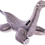 INTEX Inflatable Pool Floater