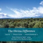 divina fig spread jam 9 oz