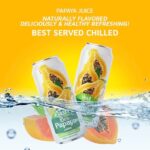 Vinut 100% Pure Papaya Juice  No Sugar Added, 16.9 Fl Oz - Image 3