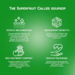 Vinut 100% Pure Soursop Juice No Sugar Added, 16.9 Fl Oz - Image 2