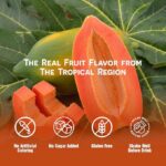 Vinut 100% Pure Papaya Juice  No Sugar Added, 16.9 Fl Oz - Image 2