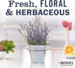 Mrs. Meyer's Clean Day Dryer Sheets, Lavender Scent, 80 Ct - Image 5