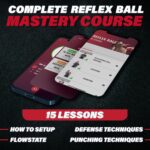 Champs MMA Boxing Reflex Ball Training Set with Punch Counter - Image 2