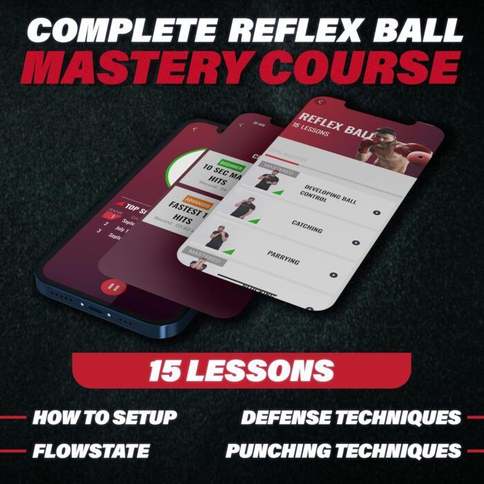 Champs MMA Boxing Reflex Ball Training Set with Punch Counter - Image 2
